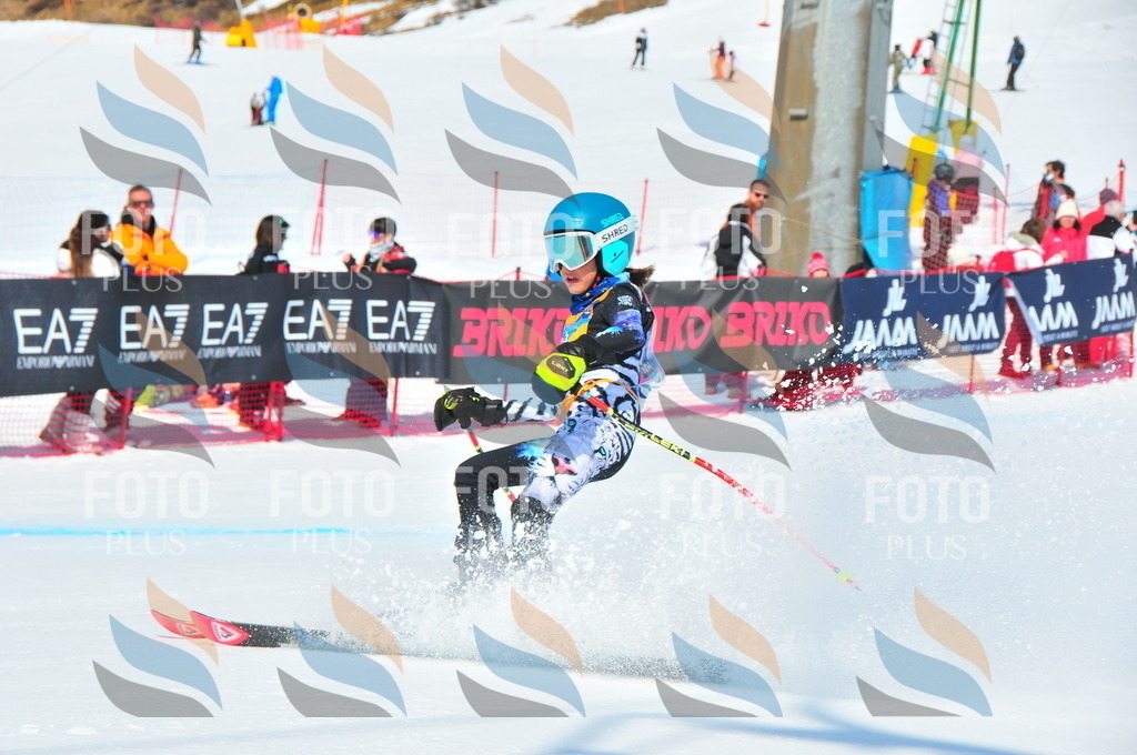 DSC_1246 | holidayphoto