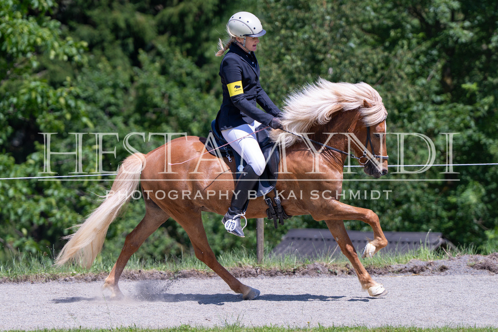 KAI03541 | Ihr sucht einen Fotografen für eure nächste OSI? Ich begleite auch euer Turnier für Islandpferde fotografisch.  - Realisiert mit Pictrs.com
