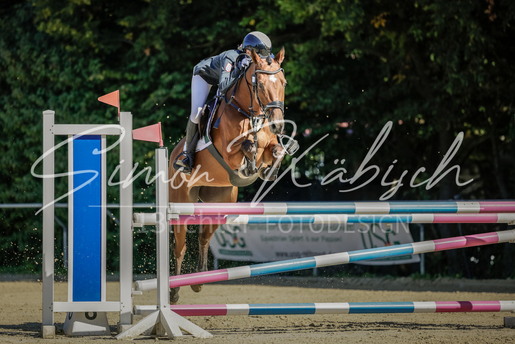 20250906-_3LI3711 | Tierfotografie Pferde, Hunde, Katzen, Haustiere.
Turnierfotografie Reitturniere, Reiten, Springreiten, Dressur in Hanau, dem Main-Kinzig-Kreis und dem Rhein-Main- Gebiet um Frankfurt
