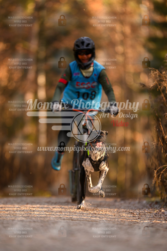 MompixPhotography_DM_AKDM_SO_2025_Scooter-191 | PayLife