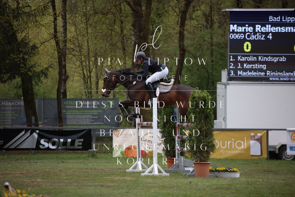 IMGT1759 | pl-fotografie