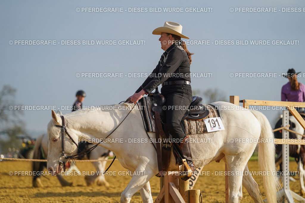 DSC00094 | Pferdegrafie