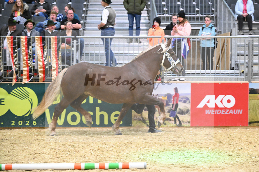 Kat-Nr. 28 Harmonie v. Severin_Vrech_1260431 | hf-fotografie - Realisiert mit Pictrs.com
