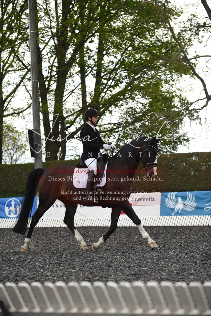 20230513_JK-Röhrsdorf-15-528 | Pferde- und Turnierfotografie in Westsachsen. Pferdeportraits, Auftragszeichnungen und intuitive Kunst.