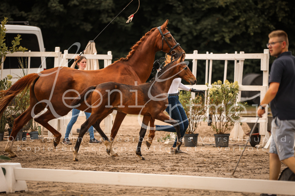 SaPA00307 | Leoni Ertmer Photography - Realisiert mit Pictrs.com