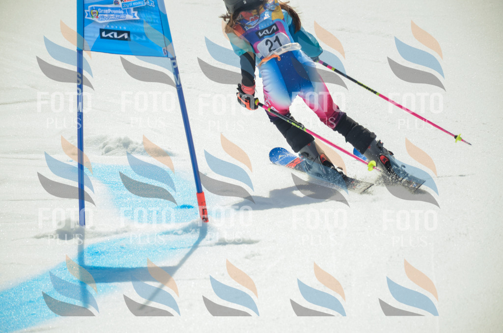 _ELE4746 | holidayphoto