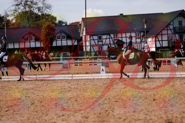 2026_10_03_Siefer-Hof_133145_Z81_86410782 | Professionelle Reitsport-, Turnier- und Eventfotografie von Robert Broda. Galerien mit ausgewählten und bearbeiteten Bildern direkt online ansehen und bestellen.