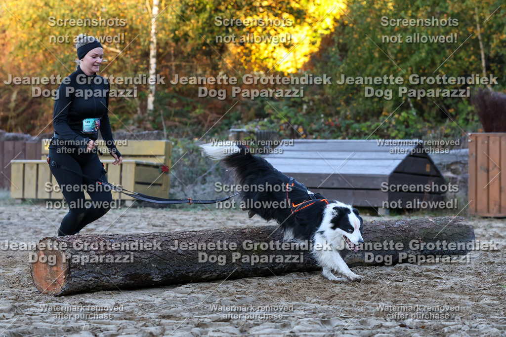 Dog Paparazzi - Strongdog 10-25-370 | Dog Paparazzi Jeanette Grottendiek Fotografie & Videografie - Realisiert mit Pictrs.com