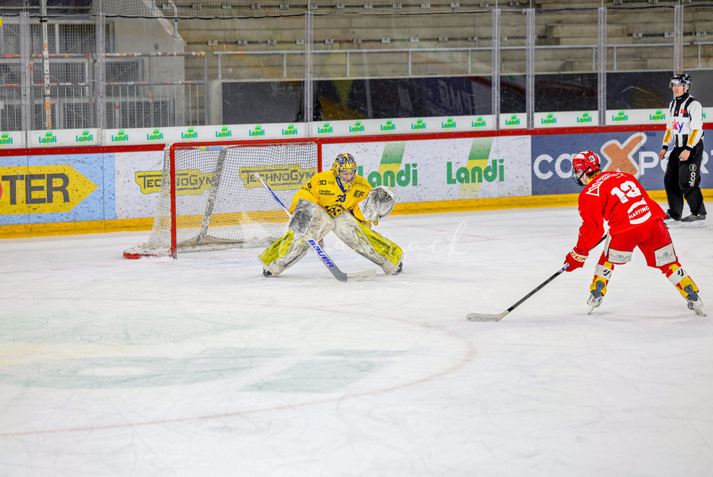EHCB vs HCD-1585 | Sportbilder, Sportfotograf, Hochzeits- und Eventfotografin, Flugshows, Portraits und Tiershooting, Aviation, Downhill, Nationalleague, Swissleague, International