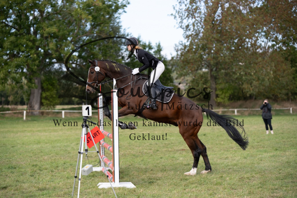 A7V06745 | Pferdefotograf