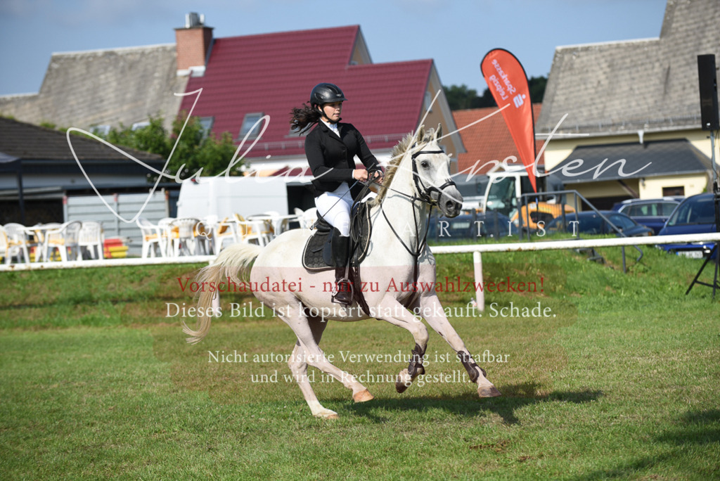 DSC_8908 | Pferde- und Turnierfotografie in Westsachsen. Pferdeportraits, Auftragszeichnungen und intuitive Kunst.