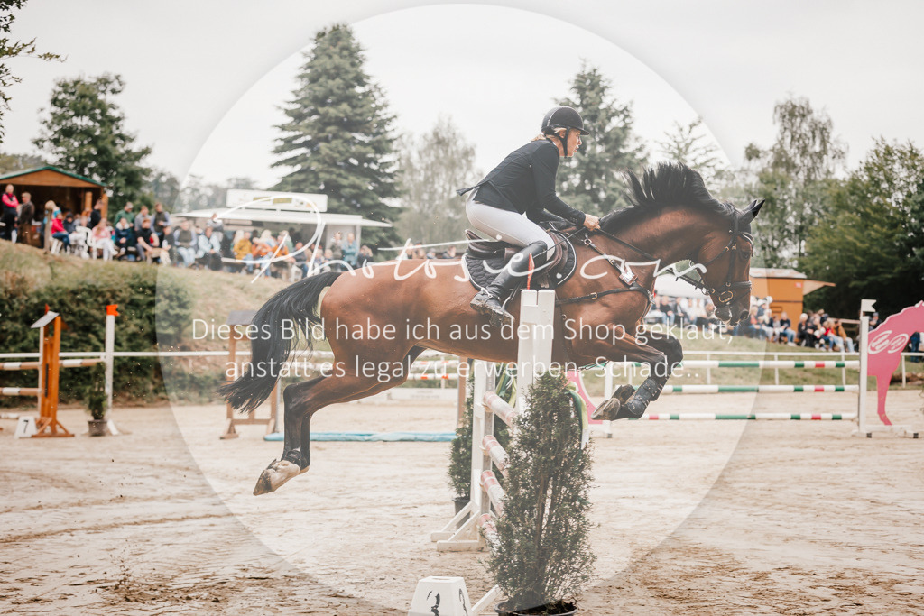 3I6A1936 | Stimmungsvolle Portraits und Reitsportfotografie im Ruhrgebiet und im Münsterland.

Pferdefotografie, Hundefotografie, Tierfotografie, Reportagen, Portraits von Tier und Mensch, Turnierfotografie in Bochum, Recklinghausen, Marl, Haltern am See, Dülmen.. - Realisiert mit Pictrs.com