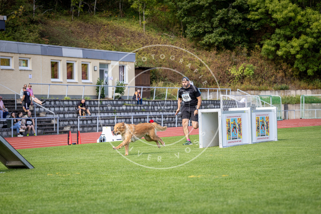 Pfotenfotografie_DV3A8142 | Hundefotografie, Tierfotograf, Pfotenfotografie, Fotoshooting Hund, Hunde Portrait, Hundesport, Hundeportraits, Heideshooting, Hunde, Sportfotograf, Hundefotograf, Turnierhundsport, THS,  - Realisiert mit Pictrs.com