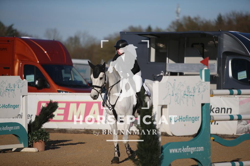PP016015 | Willkommen bei Brunnmayr - Design & Fotografie – Ihrem Spezialisten für Reitturniere und Pferdeveranstaltungen in Oberösterreich, Salzburg und Bayern! Seit über 17 Jahren sind wir leidenschaftlich dabei.