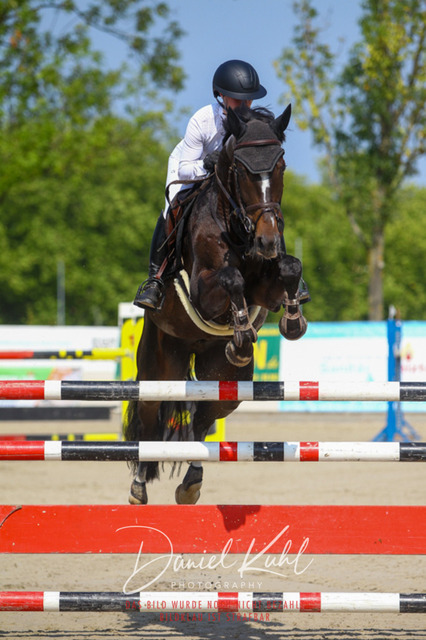 Gut Blee25_Zwei Phasen Springprfg S_0008 | Turniersportfotografie; Pferdefotografie; Dressurfotografie