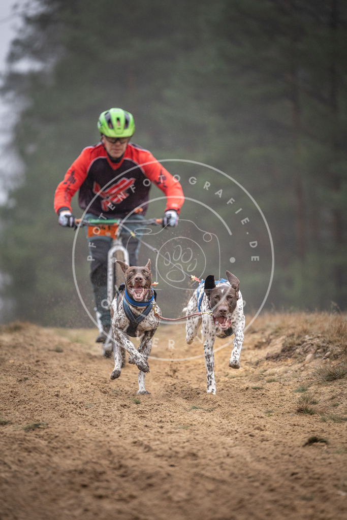 Pfotenfotografie_DV3A0930 | Hundefotografie, Tierfotograf, Pfotenfotografie, Fotoshooting Hund, Hunde Portrait, Hundesport, Hundeportraits, Heideshooting, Hunde, Sportfotograf, Hundefotograf, Turnierhundsport, THS,  - Realisiert mit Pictrs.com