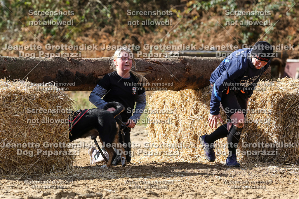 Dog Paparazzi - Strongdog 10-25-4936 | Dog Paparazzi Jeanette Grottendiek Fotografie & Videografie - Realisiert mit Pictrs.com