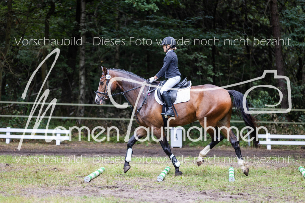 HB-Caprilli-009 | MomenTaufnahmen Pferdesportfotos