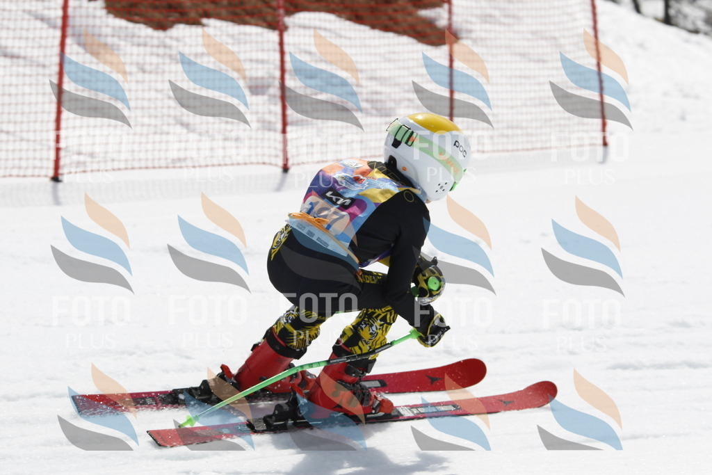 _U3G1996 | holidayphoto