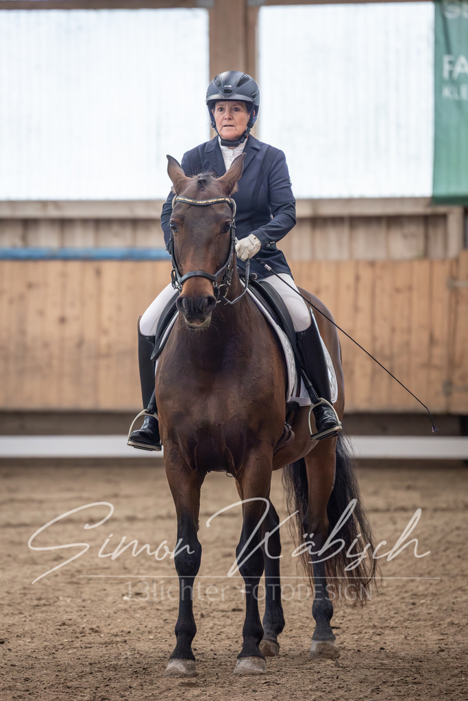 20251011-_3LI9261 | Tierfotografie Pferde, Hunde, Katzen, Haustiere.
Turnierfotografie Reitturniere, Reiten, Springreiten, Dressur in Hanau, dem Main-Kinzig-Kreis und dem Rhein-Main- Gebiet um Frankfurt