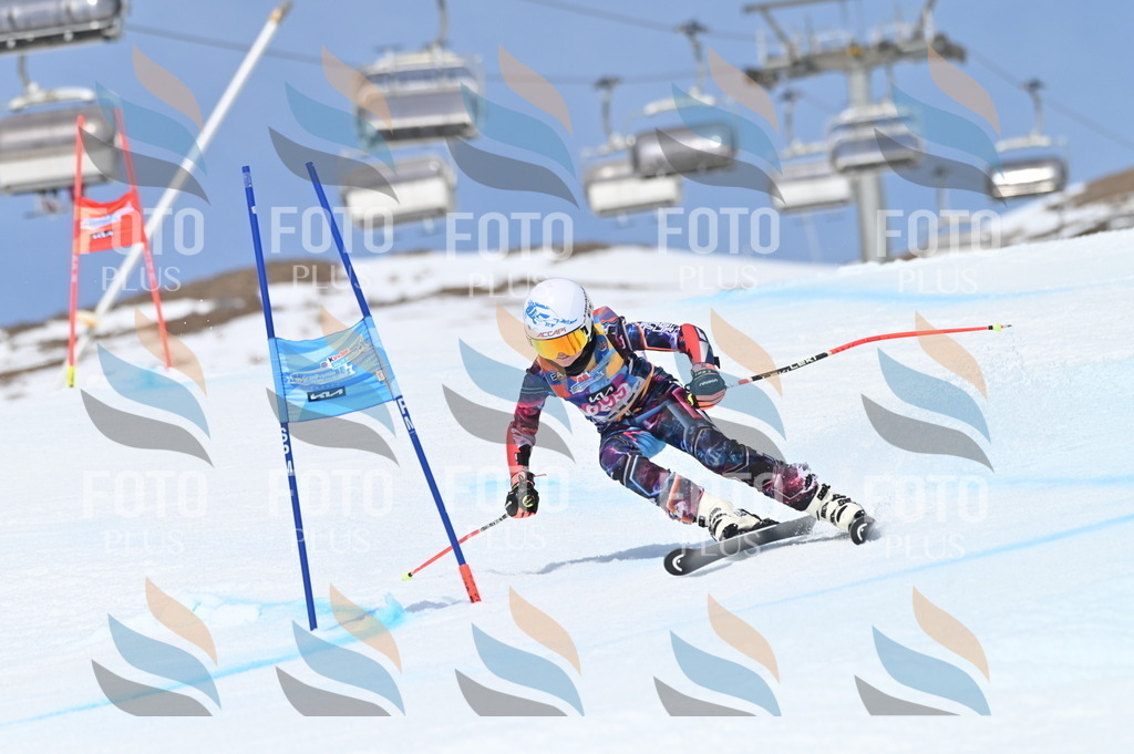 BGV_2758 | holidayphoto