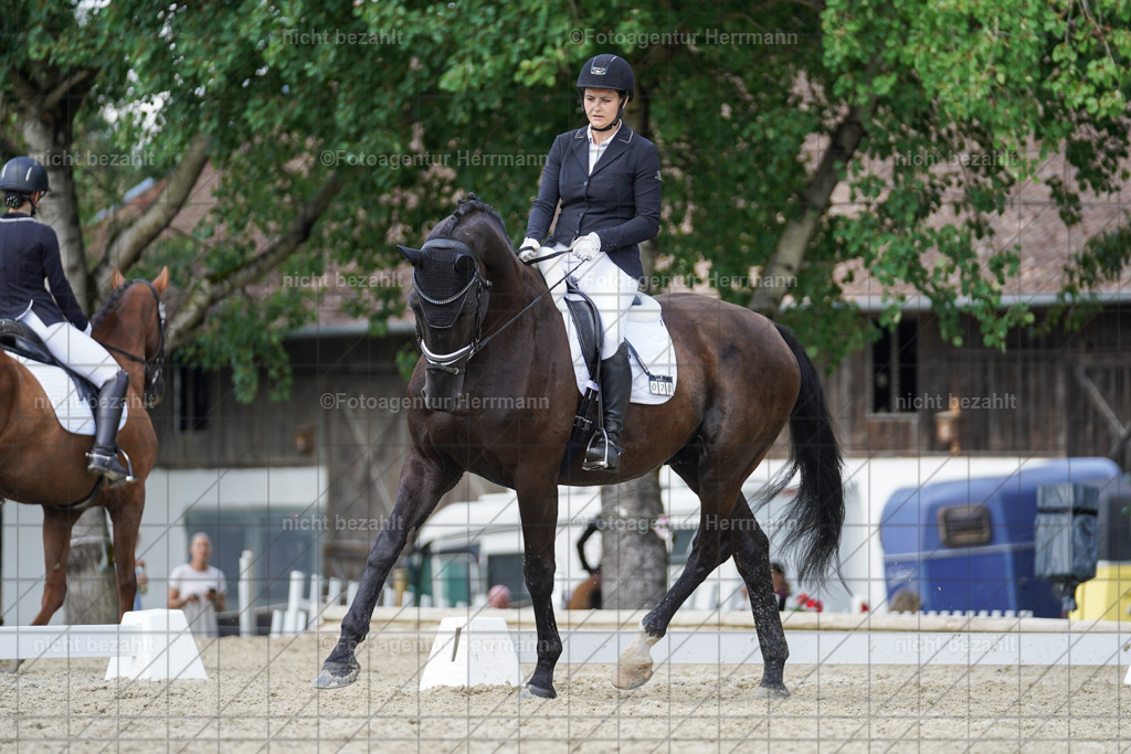 20230826-FAH05430 | Forstinning, 2023, Dressurturnier, Turniersportbilder, Turnierfotografen Bayern, Fotoagentur Herrmann, Reitsportfotografie, Turnierbilder