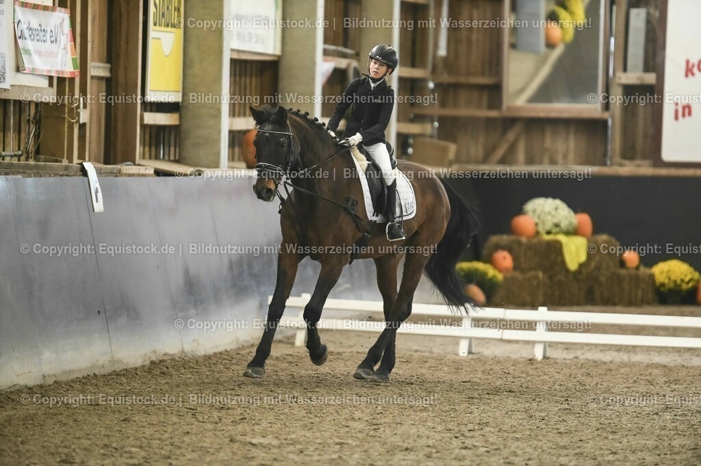 20231029_02_Reiter-WB_Schritt-Trab-Galopp_Abteilung-03_0061 | Foto: Thomas Hartig