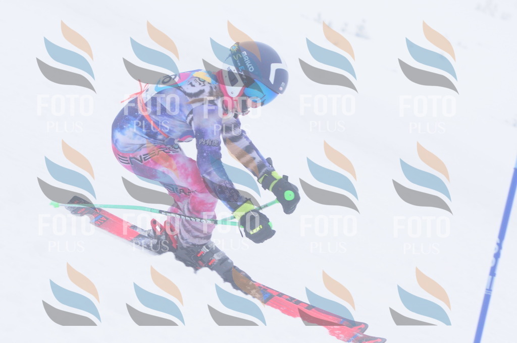 C2479 | holidayphoto