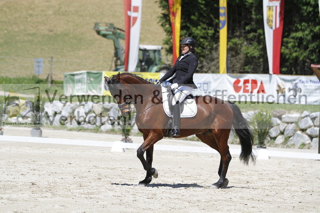 _MG_4890 | equestrian-live-com