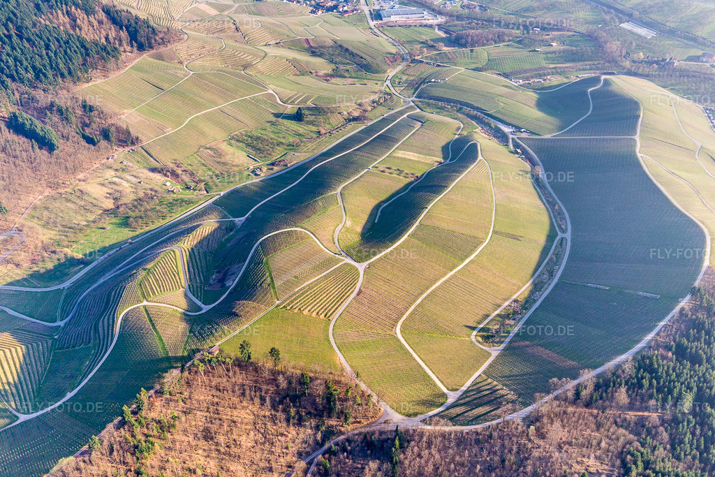 Luftbild: Weinbergs- Landschaft der badischen Winzer- Gebiete in Kappelrodeck im Bundesland Baden-Württemberg in Deutschland. Foto: IMG_097701.jpg vom 16.03.2017 durch Werner Riehm/FLY-FOTO.de