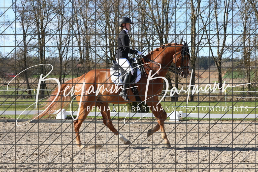 AZ2A5285 | Benjamin Bartmann Photomoments