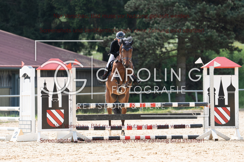 DSC04140 | Springturnier_Ehingen_Mai_2026, Miriam_Bohn, Bella_G