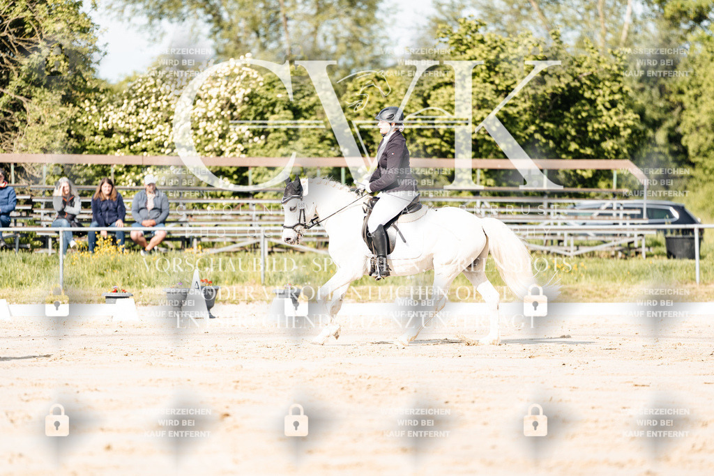 CK900066 | Turnierfotografie Pferdefotografie Trier Rheinland-Pfalz Pferdesport Reitsport Tierfotografie Sportfotografie Pferdevideo Pferdevideografie Equestrianvideography equestrianphotography  - Realisiert mit Pictrs.com