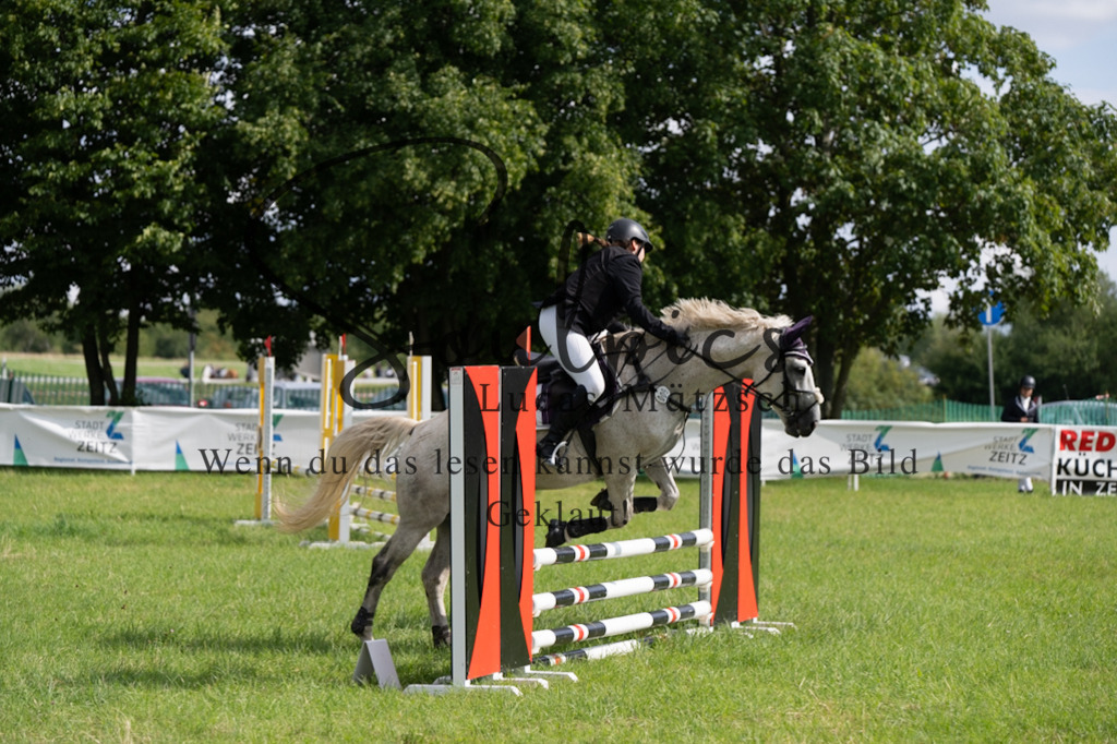 A7V03445 | Pferdefotograf