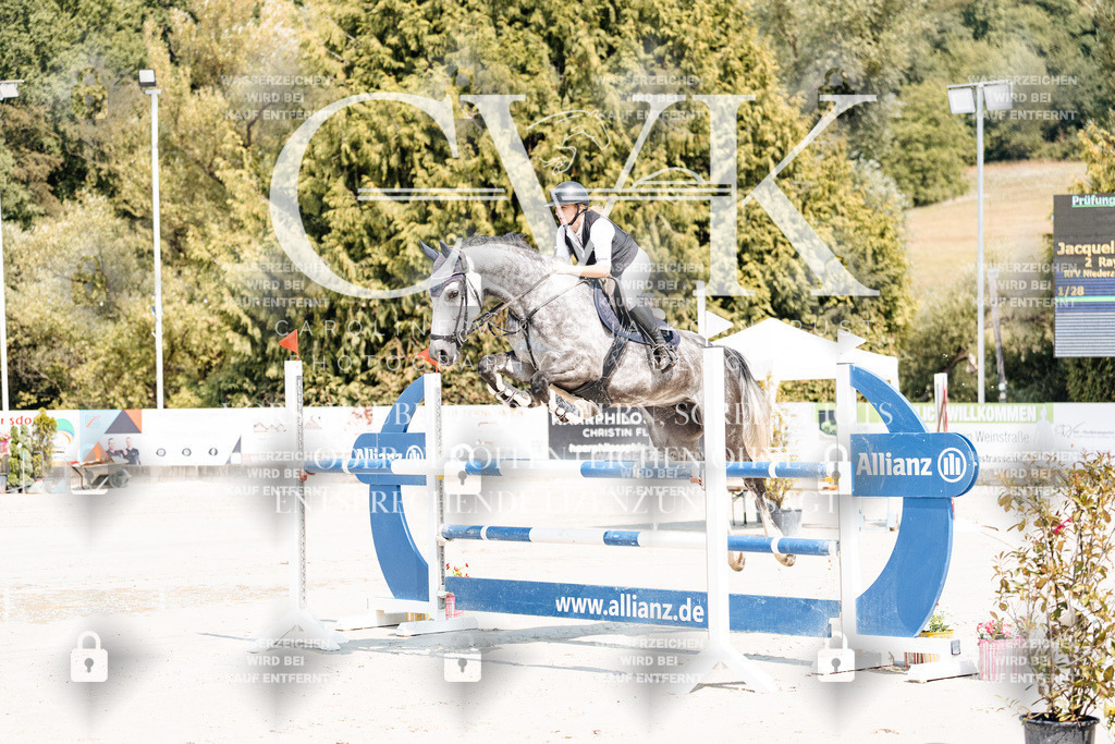 CK901114 | Turnierfotografie Pferdefotografie Trier Rheinland-Pfalz Pferdesport Reitsport Tierfotografie Sportfotografie Pferdevideo Pferdevideografie Equestrianvideography equestrianphotography  - Realisiert mit Pictrs.com