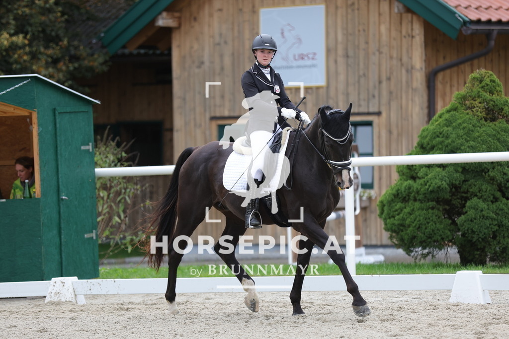 0P6A8873 | Willkommen bei Brunnmayr - Design & Fotografie – Ihrem Spezialisten für Reitturniere und Pferdeveranstaltungen in Oberösterreich, Salzburg und Bayern! Seit über 17 Jahren sind wir leidenschaftlich dabei.