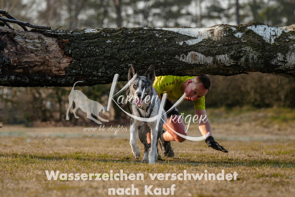 0832_ZZ95159 | kk-dogfotos