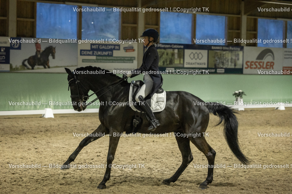 _D5A7419 | Emotionale Pferde- & People-Fotografie rund um Heidelberg, Leimen & Umgebung. Natürliche Fotos von Pferd, Mensch & Familie. Jetzt Termin sichern!