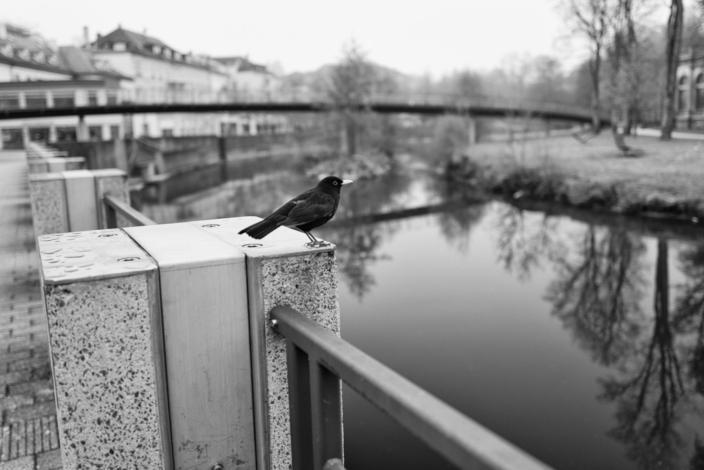 an der Saale | Buchen Sie ein Fotoshooting in Würzburg oder Umgebung bequem online in meinen Webshop.