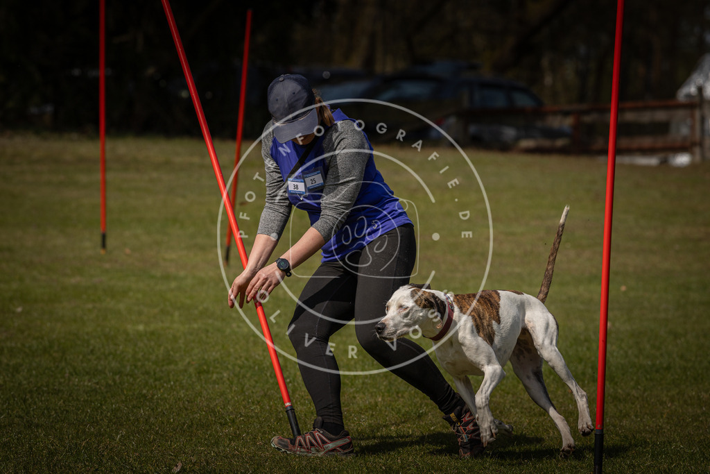 Pfotenfotografie_DV3A4610 | Hundefotografie, Tierfotograf, Pfotenfotografie, Fotoshooting Hund, Hunde Portrait, Hundesport, Hundeportraits, Heideshooting, Hunde, Sportfotograf, Hundefotograf, Turnierhundsport, THS,  - Realisiert mit Pictrs.com