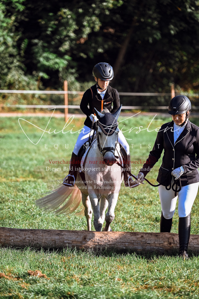 DSC_0410 | Pferde- und Turnierfotografie in Westsachsen. Pferdeportraits, Auftragszeichnungen und intuitive Kunst.