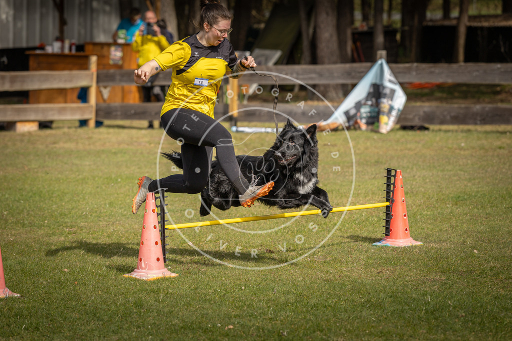 Pfotenfotografie_DV3A9549 | Hundefotografie, Tierfotograf, Pfotenfotografie, Fotoshooting Hund, Hunde Portrait, Hundesport, Hundeportraits, Heideshooting, Hunde, Sportfotograf, Hundefotograf, Turnierhundsport, THS,  - Realisiert mit Pictrs.com