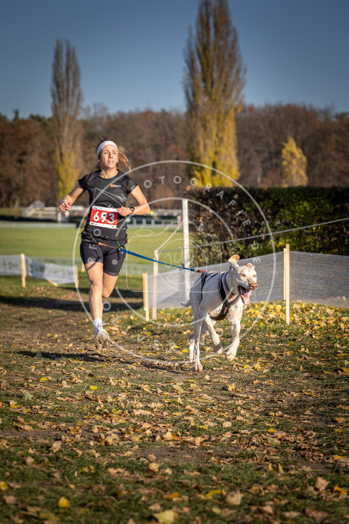 CaniXpix_DV3A1329 | Hundefotografie, Tierfotograf, Pfotenfotografie, Fotoshooting Hund, Hunde Portrait, Hundesport, Hundeportraits, Heideshooting, Hunde, Sportfotograf, Hundefotograf, Turnierhundsport, THS,  - Realisiert mit Pictrs.com