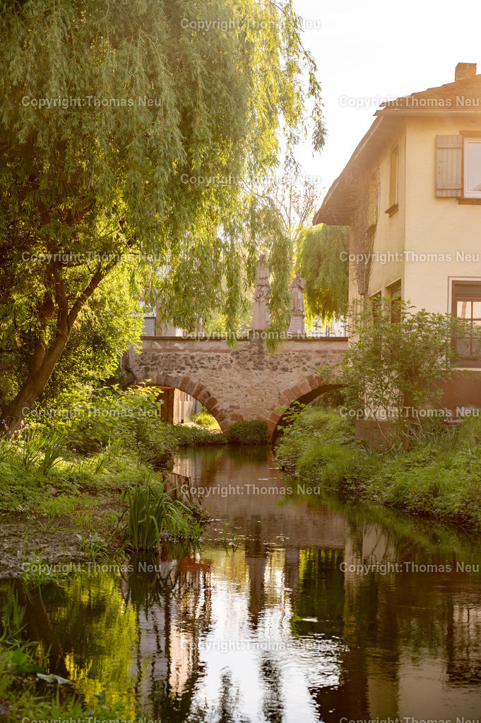 DSC_5101 | Morgenstimmung an der Lauter, Winkelbach, Die Lauter kommt aus dem Lautertal nach Bensheim geflossen und heißt hinter der Mittelbrücke in Bensheim dann Winkelbach, Unser Blick geht vom Westen in den Osten und zeigt den Bereich Winkelbach, Bild: Thomas Neu