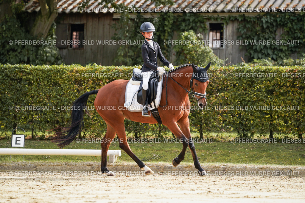 DSC04075 | Pferdegrafie