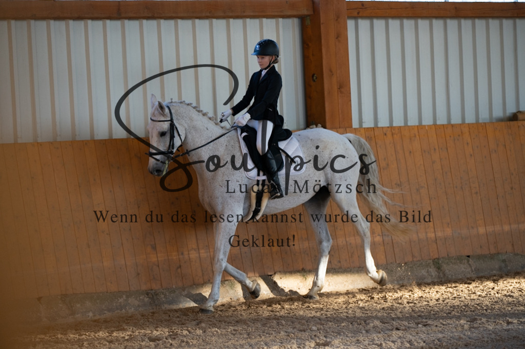 A7V01572 | Turnier/Reitfotograf