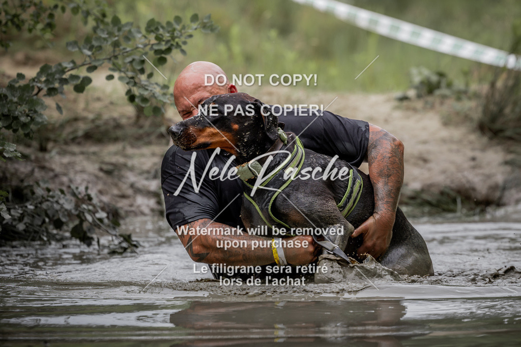 nelerasche_so0800-0930_382 | nelerasche