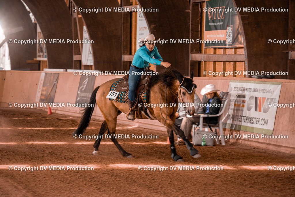 NE300678 | dv-media-shop - Realisiert mit Pictrs.com