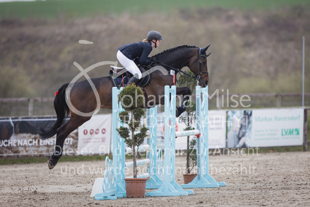 230408_Frühlingsfest_Stil-L-3-860 | Deine schönsten Turniermomente als professionelle Fotos! Entdecke hochwertige Pferdesport-Fotografie im Online-Shop. Jetzt Fotos finden & bestellen!