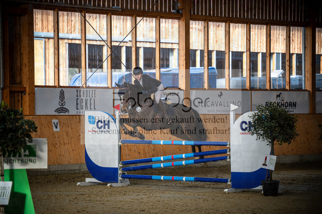 DOS_0666 | Entdecke hochwertige Reitturnierfotos von Foto Oger. Professionell, emotional und authentisch – jetzt Lieblingsmomente im Shop bestellen.Deutschlandweite Turnierfotografie. - Realisiert mit Pictrs.com